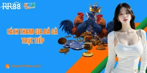 Cách Tham Gia Đá Gà Trực Tiếp Tại RR88 An Toàn Cho Người Mới